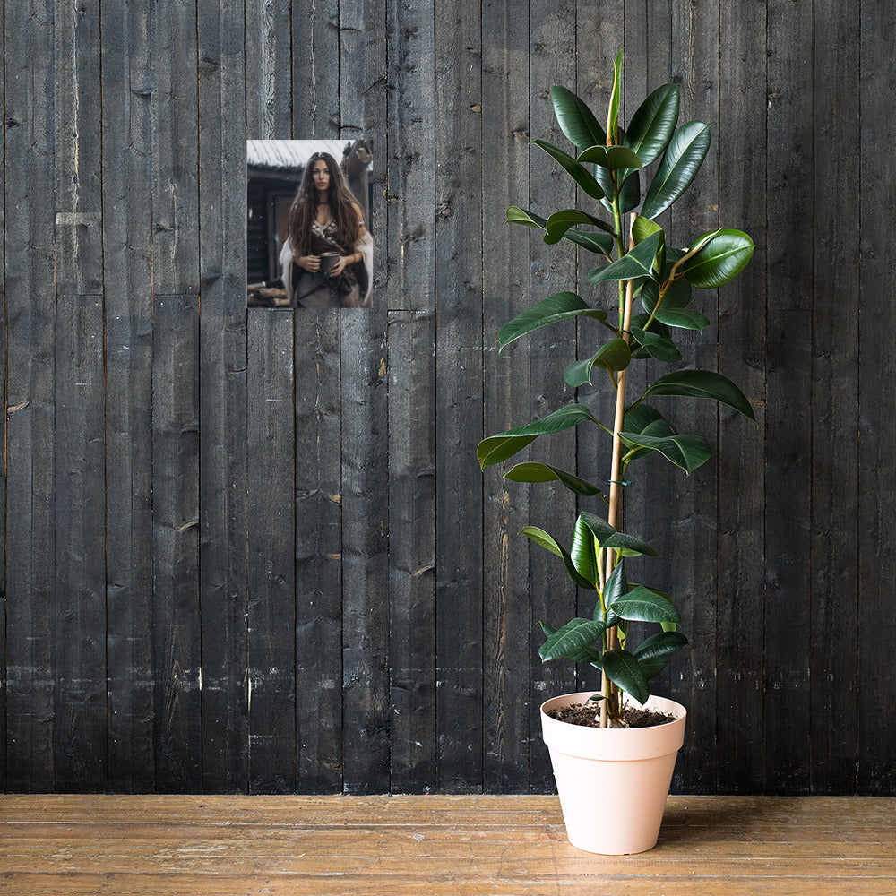 Schamanin (2) - Poster mit mattem Papier